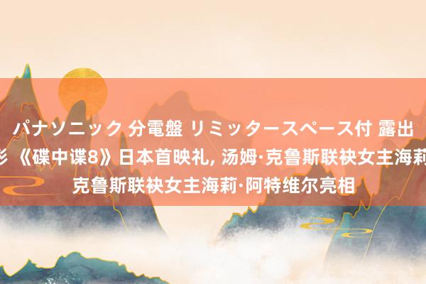 パナソニック 分電盤 リミッタースペース付 露出・半埋込両用形 《碟中谍8》日本首映礼， 汤姆·克鲁斯联袂女主海莉·阿特维尔亮相