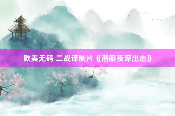 欧美无码 二战译制片《潜艇夜深出击》