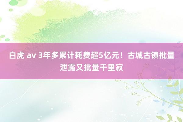 白虎 av 3年多累计耗费超5亿元！古城古镇批量泄露又批量千里寂